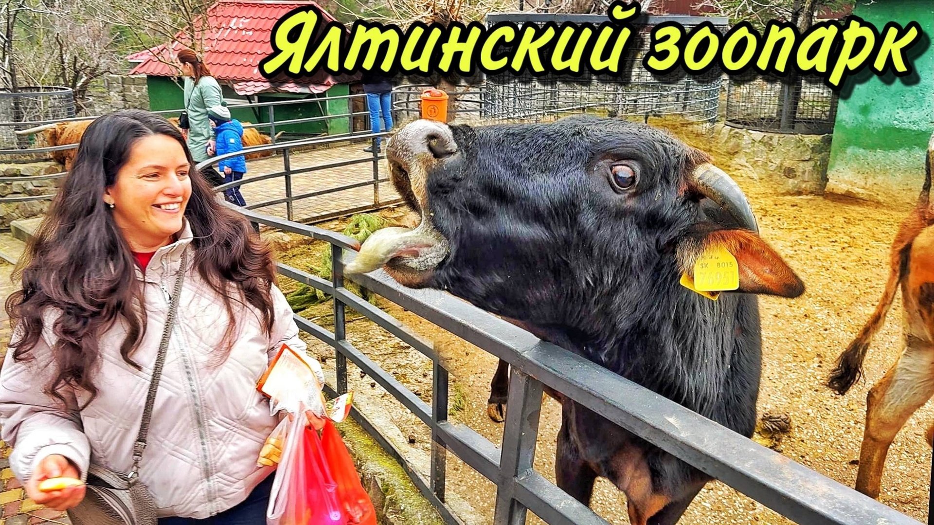 КРЫМ 2025: ЗООПАРК, который УДИВИЛ! КОРМИМ ТИГРОВ! Ялта сегодня СКАЗКА, ЦЕНЫ смотреть онлайн