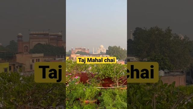 The real Taj Mahal Chai #shorts смотреть онлайн