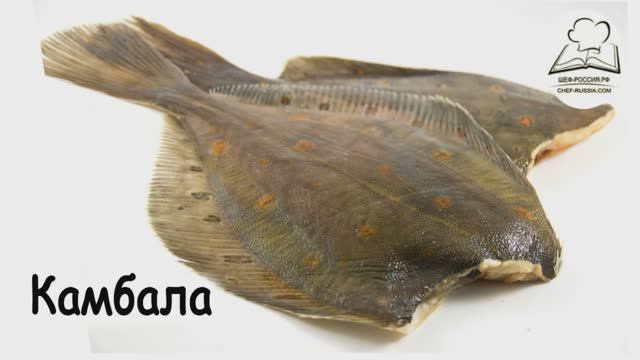 Камбала разделка смотреть онлайн