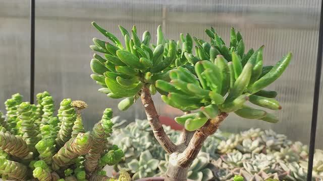 Все мои крассулы в одном видео смотреть онлайн