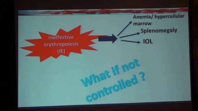 Ineffective Erythropoiesis How To Compate Prof I Youssry смотреть онлайн