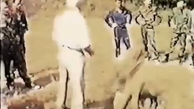 Система боевого выживания Кадочникова. Редкие кадры. "Оружие противника мы выбиваем!"#army#military смотреть онлайн
