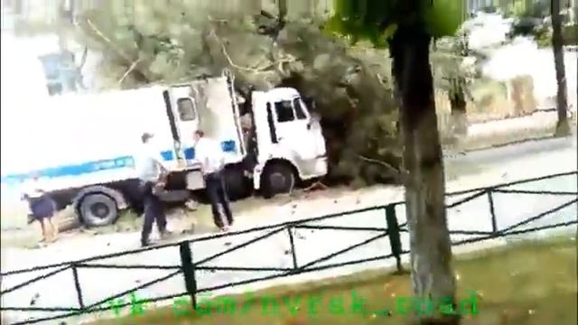 Автозак снес дерево в Новороссийске смотреть онлайн