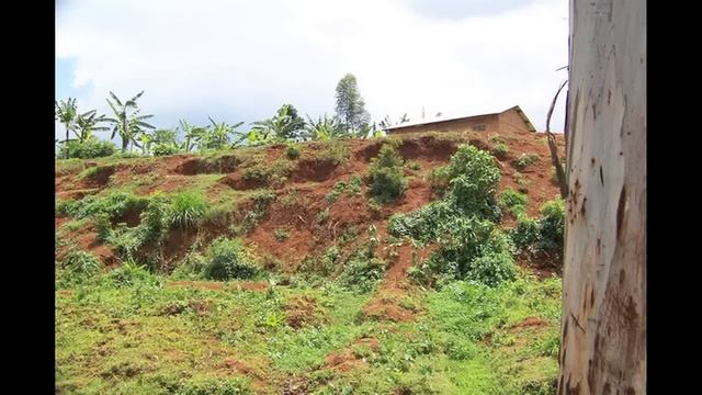 Climate Change Raises New Challenges for Uganda's Coffee Farmers смотреть онлайн