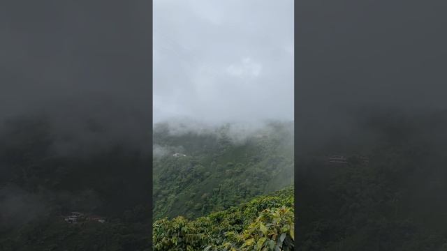Farm Camino del Cafe - Santuario, Colombia смотреть онлайн