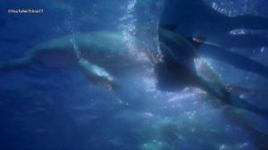 Enigma - The Dream Of The Dolphin