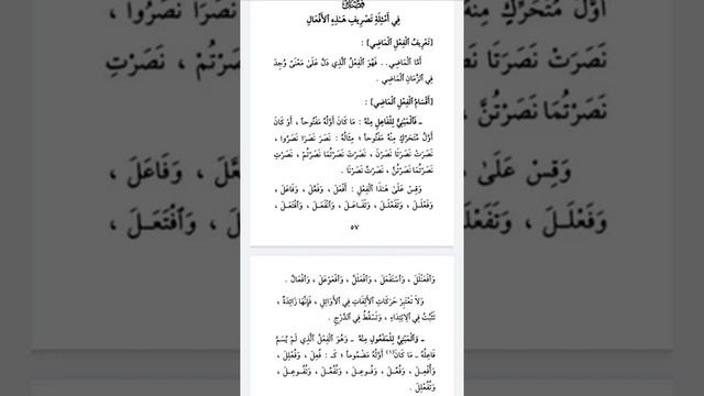 ТасрифульИззи 5 смотреть онлайн