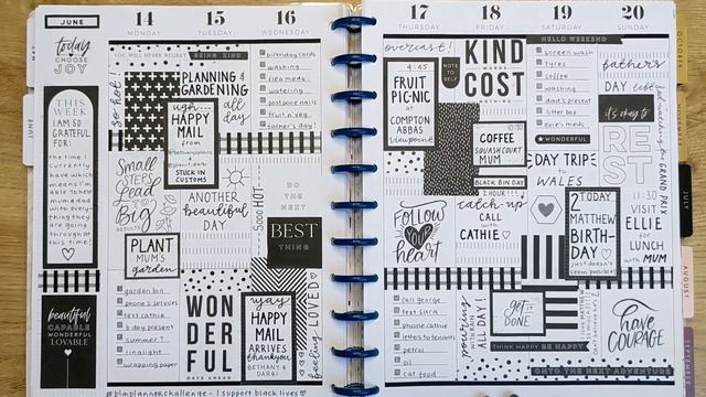 A Flip Through of My Big Catch-all Happy Planner смотреть онлайн
