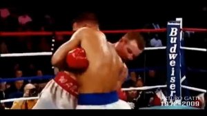 Arturo Gatti Tribute (By Gorilla Productions)