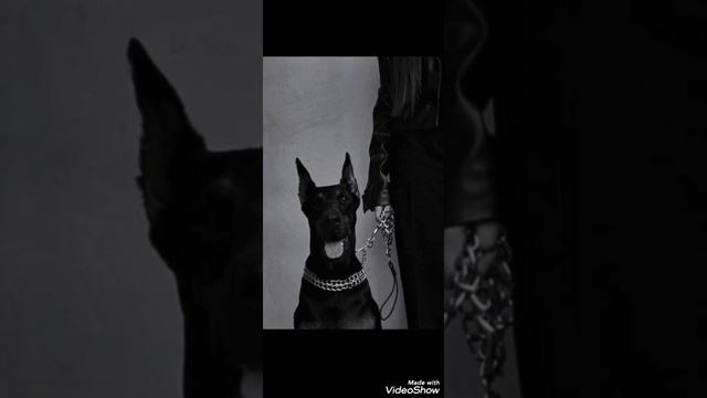 84 Lookbuffalo - чисто папа (slowed)