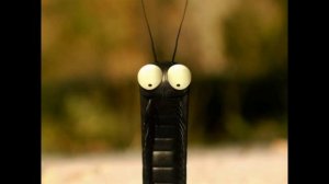 Serial Насекомые Червяк и чипсы Insekten Wurm mit Chips, Pomfrit  Pommes
