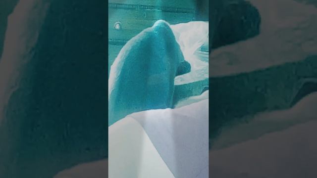 Катан братан смотреть онлайн