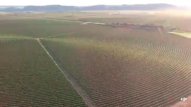 Agropecuária Vertente - Cabeceiras - GO смотреть онлайн