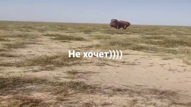 Казахстан @ смотреть онлайн