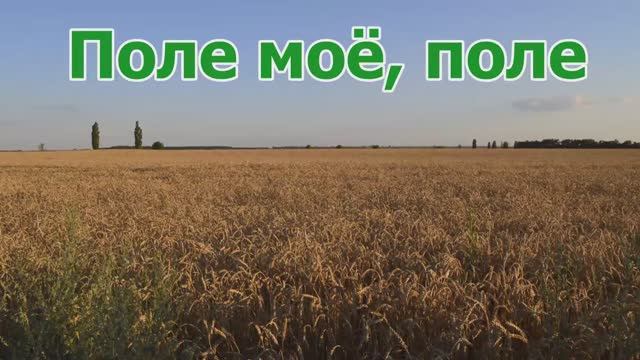 Поле моё, поле [ Христианская песня под гитару ] смотреть онлайн