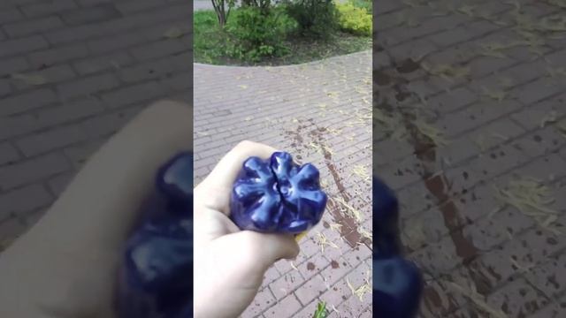 Проверили на прочность бутылки из-под газировок известных компаний.все видео#ПроверяемНаПрочность смотреть онлайн
