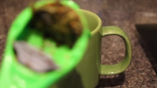 FitTea 14 Day Detox Review смотреть онлайн