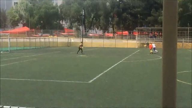 El color Puebla de los Angeles vs RAF Club смотреть онлайн