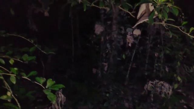 🔴LIVE MISTERI || ADA YANG ANEH MALAM INI смотреть онлайн