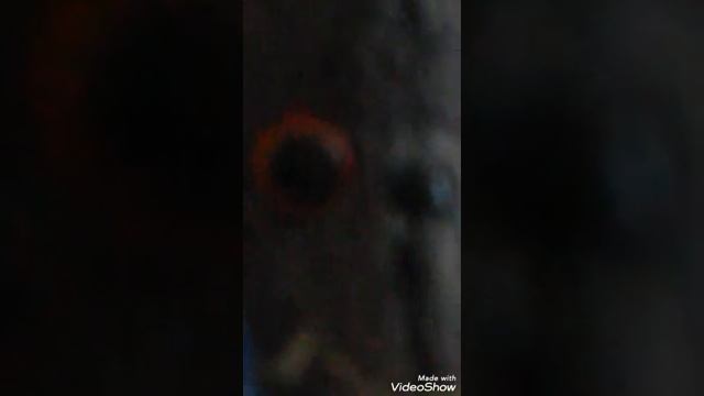 Весна, Басик слушает музыку. смотреть онлайн