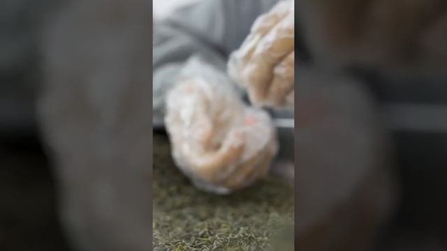 How Vahdam tea became global brand? смотреть онлайн