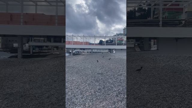 Ялта 💖💖💖 Отдых на Массандровском пляже 🥰 смотреть онлайн