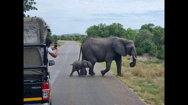 ЮАР_1_ 2024 смотреть онлайн