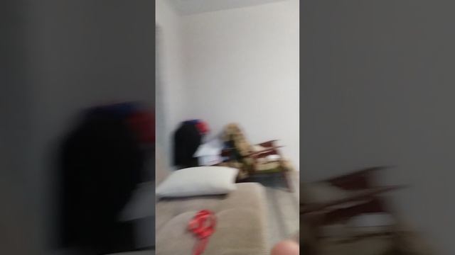 1000019515.mp4 смотреть онлайн