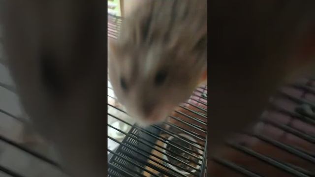 25 мая 2024 г. смотреть онлайн