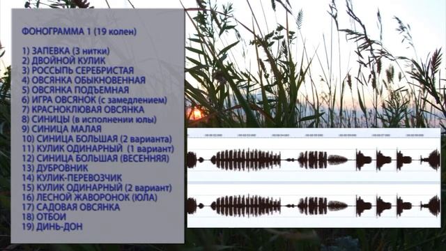 ФОНОГРАММЫ ДЛЯ ОБУЧЕНИЯ КАНАРЕЕК ОВСЯНОЧНЫЙ НАПЕВ