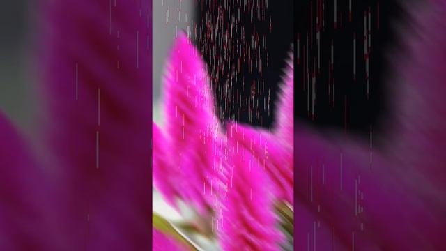 Живите с радостью в душе!🌞. #жизньодна смотреть онлайн