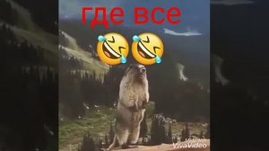 Чеченские приколы
