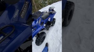 Yamaha grizzly 300