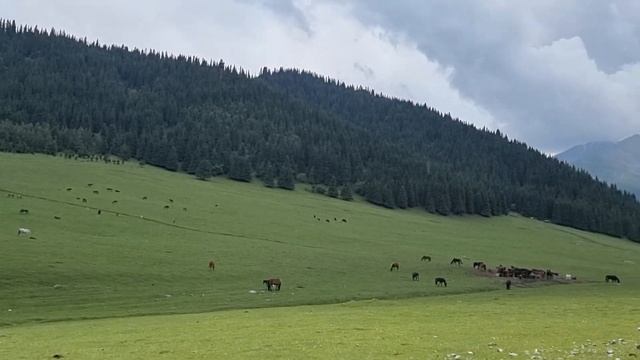 26 июня 2023 г. смотреть онлайн