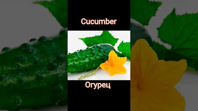 Learning food in Russian. Учим еду на английском 🇷🇺☺️🇬🇧#английский #english #food смотреть онлайн