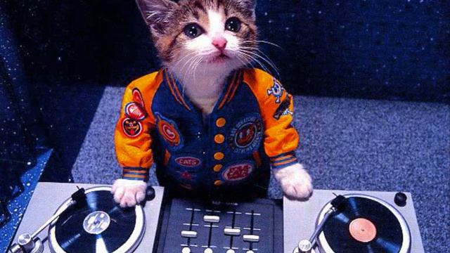 Bacardi Mojito & Di Ruiz - Sample This ( DJ Demian Remix ) смотреть онлайн