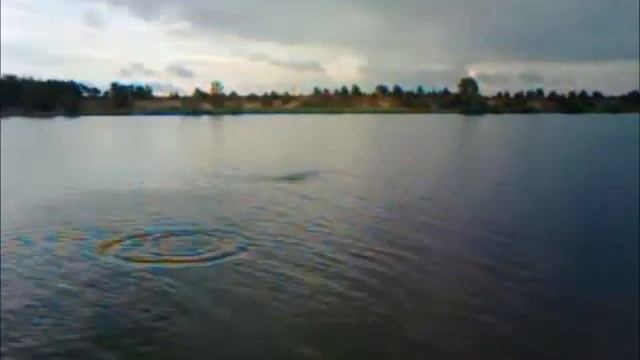 Стас делает "лягушку" смотреть онлайн