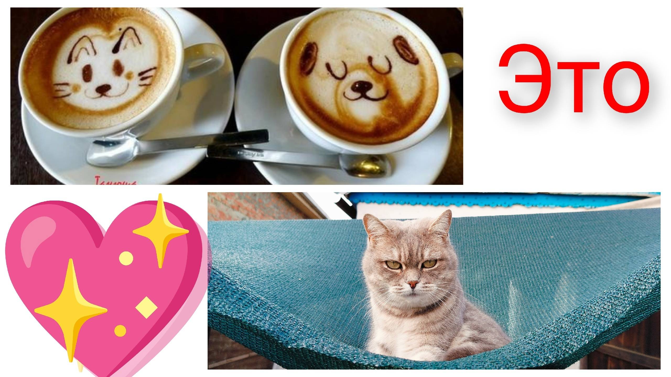 Задаём ритм/Огород круглый год/Наконец-то! смотреть онлайн