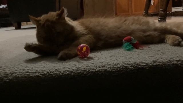 The Oven Spooks Cinnabon! смотреть онлайн