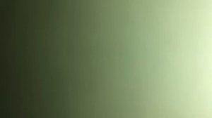 Девушка за рулём как птица