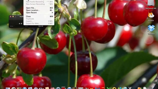 'HowTo' work Quicktime player BASIC VERSION смотреть онлайн
