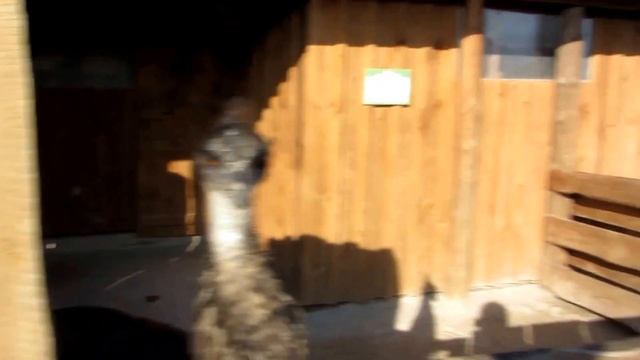 Запорожье/Петрополь смотреть онлайн