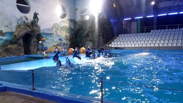 20160917 Песня дельфинов смотреть онлайн