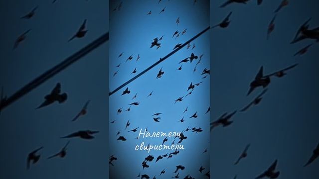 Налетели свиристели смотреть онлайн
