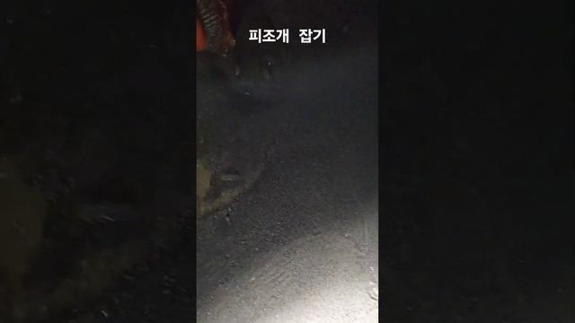 왕 피조개 смотреть онлайн