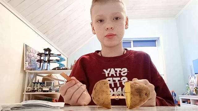 эксперимент картофельная батарейка смотреть онлайн