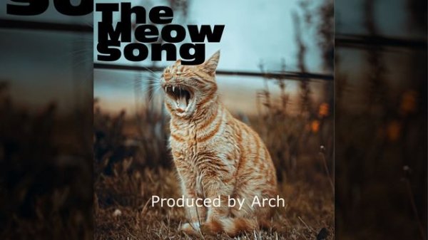 The Meow Song