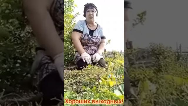 Хорошая окрошка смотреть онлайн