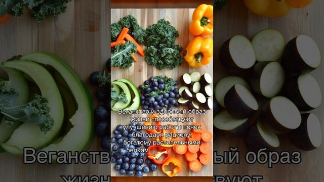 Веганские рецепты для здоровой почек смотреть онлайн