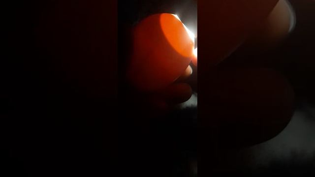 инкубация в коробке 8 сутки ! без вентиляторов и терморегулятора ! смотреть онлайн